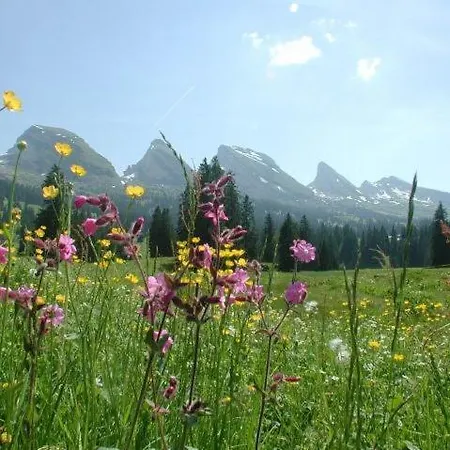 Hirschen