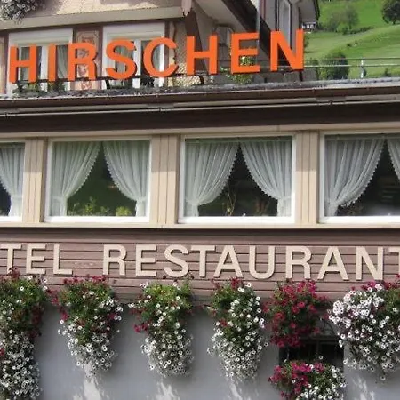 Hirschen Hotel